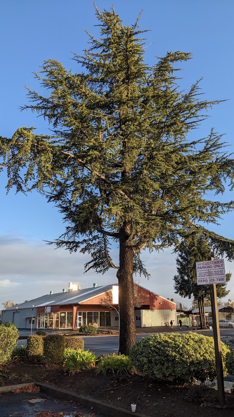 NAPA Auto Parts - NAPA Auto Parts, 1425 N Texas St, Fairfield, CA 94533, USA
