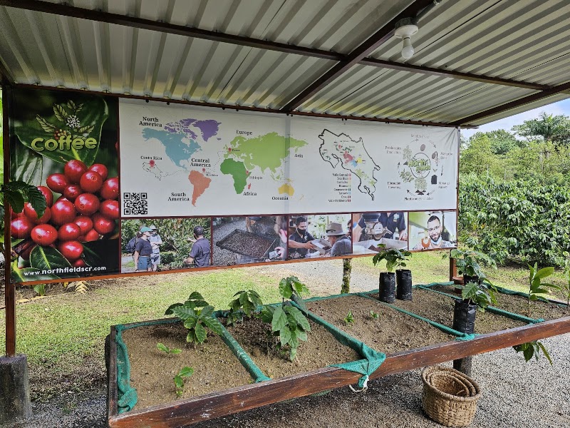 North Fields Coffee and Chocolate Tour - North Fields Coffee and Chocolate Tour, C. 506, Provincia de Alajuela, San Carlos, 21007, Costa Rica