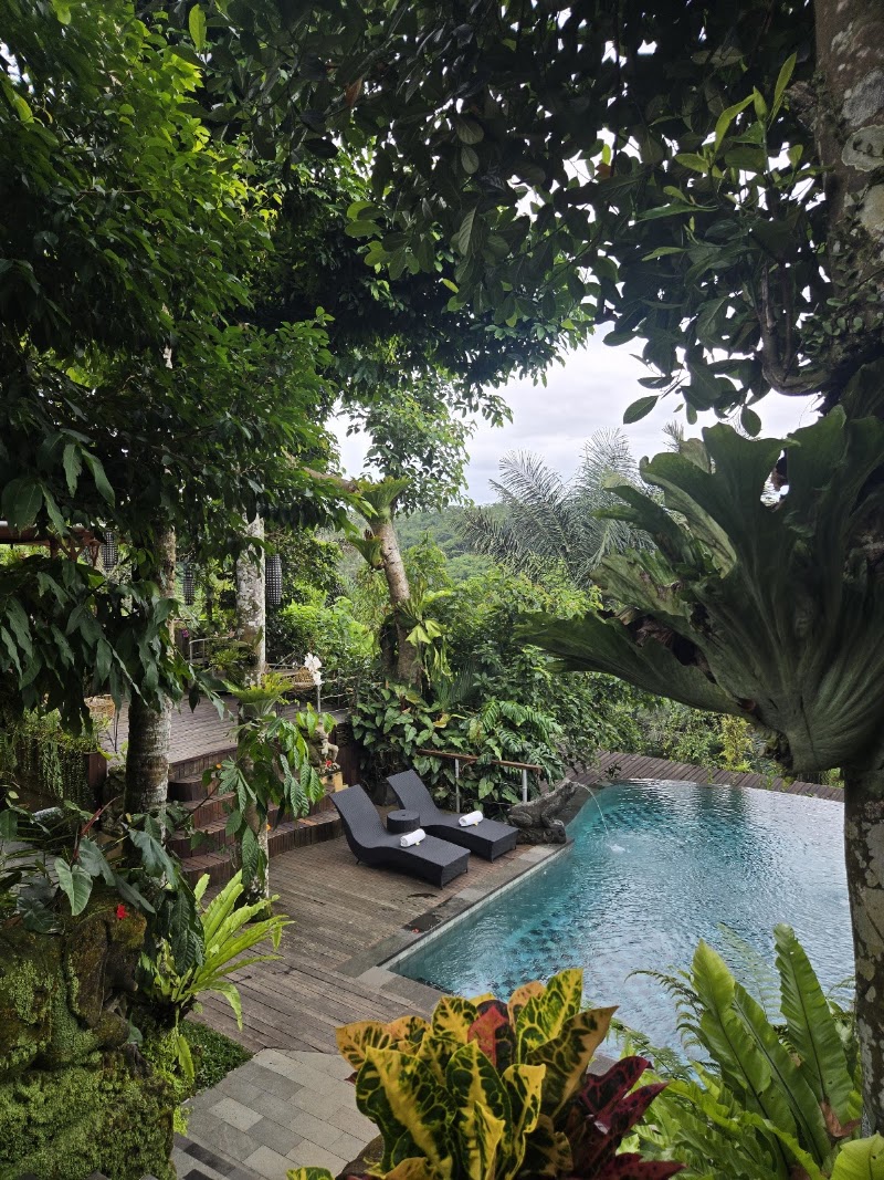 Sacred Valley Ubud - Sacred Valley Ubud, banjar jati, Sebatu, Tegallalang, Gianyar Regency, Bali 80561, Indonesia