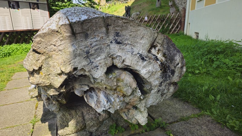 Zkamenělý strom - Zkamenělý strom, T. G. Masaryka, 357 33 Loket, Czechia