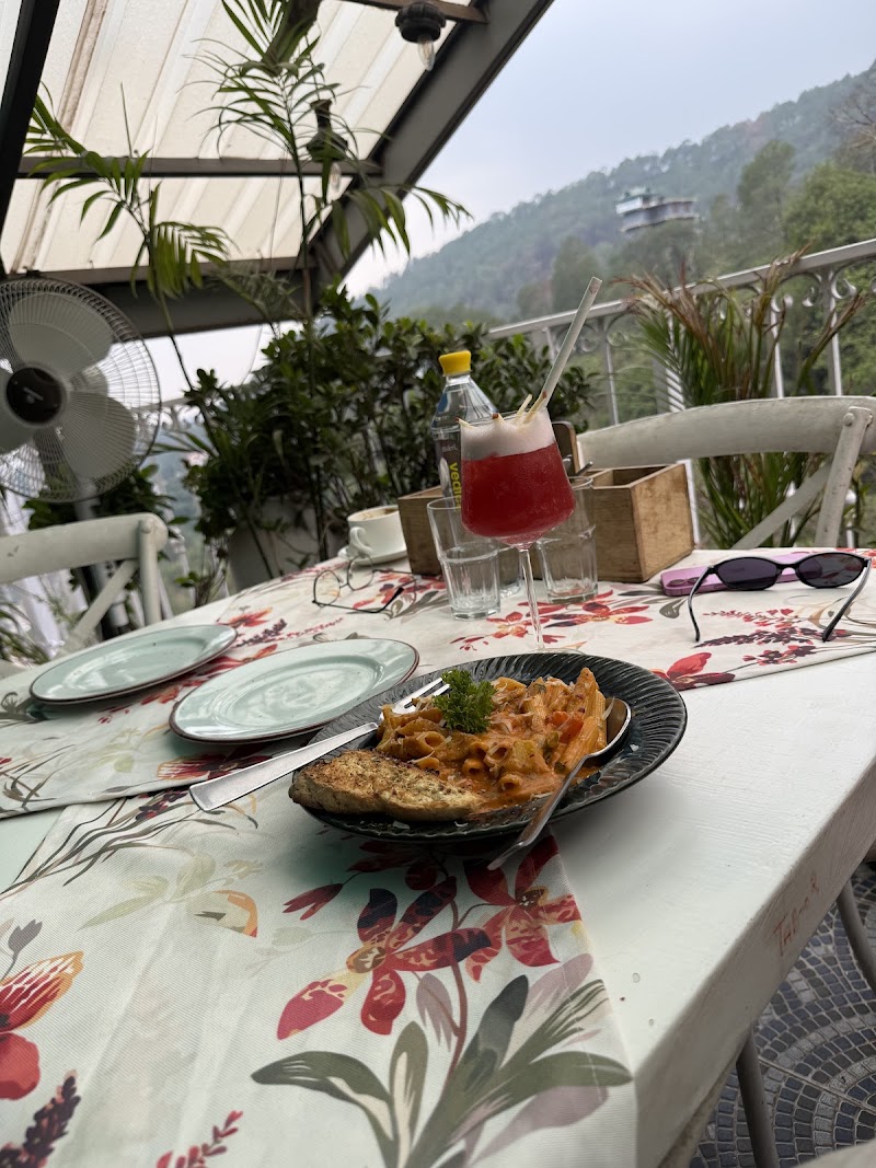 Cafe olio microbrewery and bar - Cafe olio microbrewery and bar Mandomatkanda, Dharampur, Himachal Pradesh 173201, India