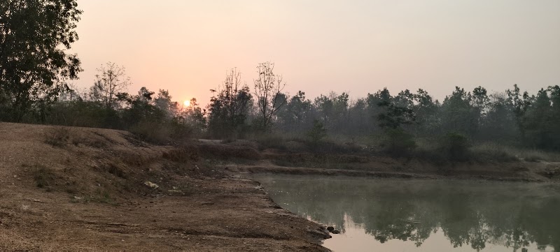 Doro ban - Doro ban, XMG8+GX, Naktamunda, Odisha 767019, India