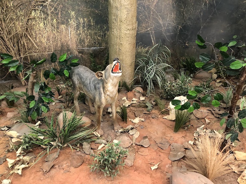 Nature Interpretation Centre, Sukhna Lake - Nature Interpretation Centre, Sukhna Lake PRQJ+QCR, Bhagwanpura, Chandigarh, 160001, India