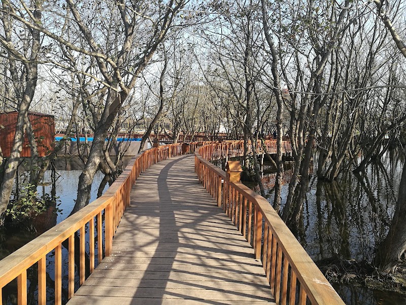 Anzali Free Zone Organization - Anzali Free Zone Organization, Chaparpord Paein, Fatehi Blvd, Iran