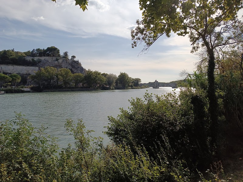 île de la Barthelasse