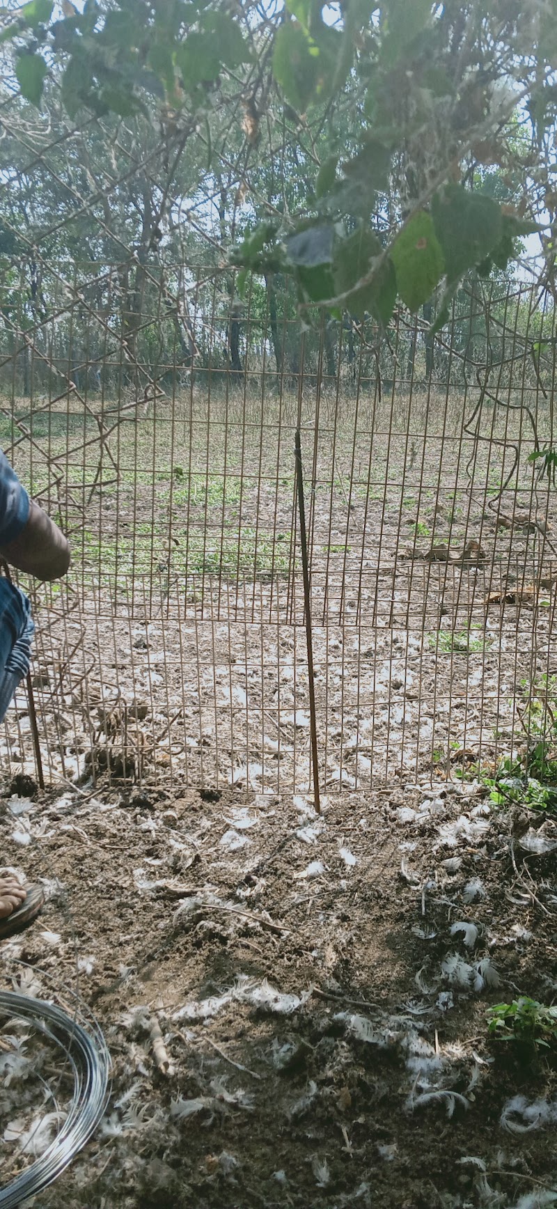 Venkatrama Poultries Limited HO office - Venkatrama Poultries Limited HO office Raipur, Chhattisgarh 493114, India