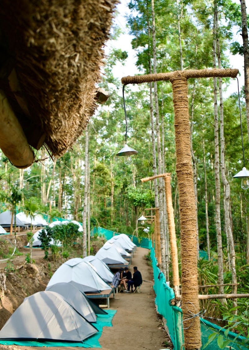 Spice Stays - Camping, Trekking, Kolukkumalai Jeep Safari & Sunrise - Spice Stays - Camping, Trekking, Kolukkumalai Jeep Safari & Sunrise, Bodimethu - Suryanallei Rd, Muthuvan Kudi, Suryanelli, Kerala 685618, India