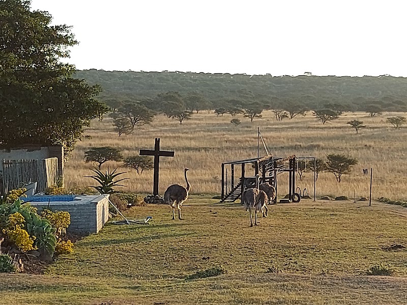 Matola Private Game Reserve - Matola Private Game Reserve, R63, Qumrha, South Africa
