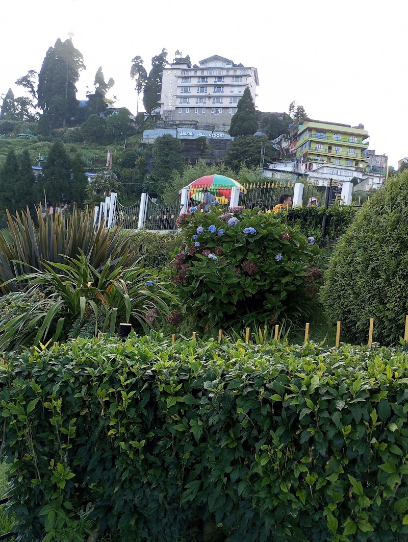 Daphne House Darjeeling