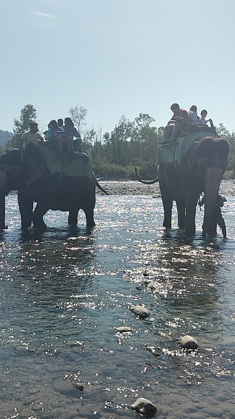 Kosi River - Kosi River Kosi River, Uttar Pradesh