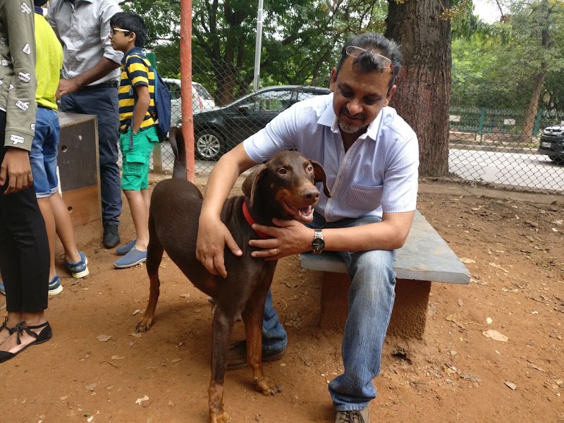 Domlur Dog Park - Domlur Dog Park, XJ6P+CM6, Domlur I Stage, 1st Stage, Domlur, Bengaluru, Karnataka 560071, India