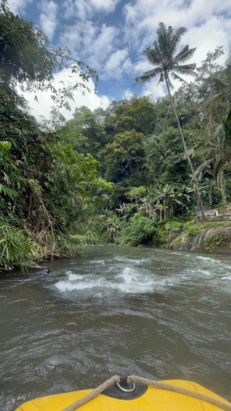 Payung Rafting Bali - Payung Rafting Bali Jalan Raya, Bunutan, Kedewatan, Kecamatan Ubud, Kabupaten Gianyar, Bali 80571, Indonesia