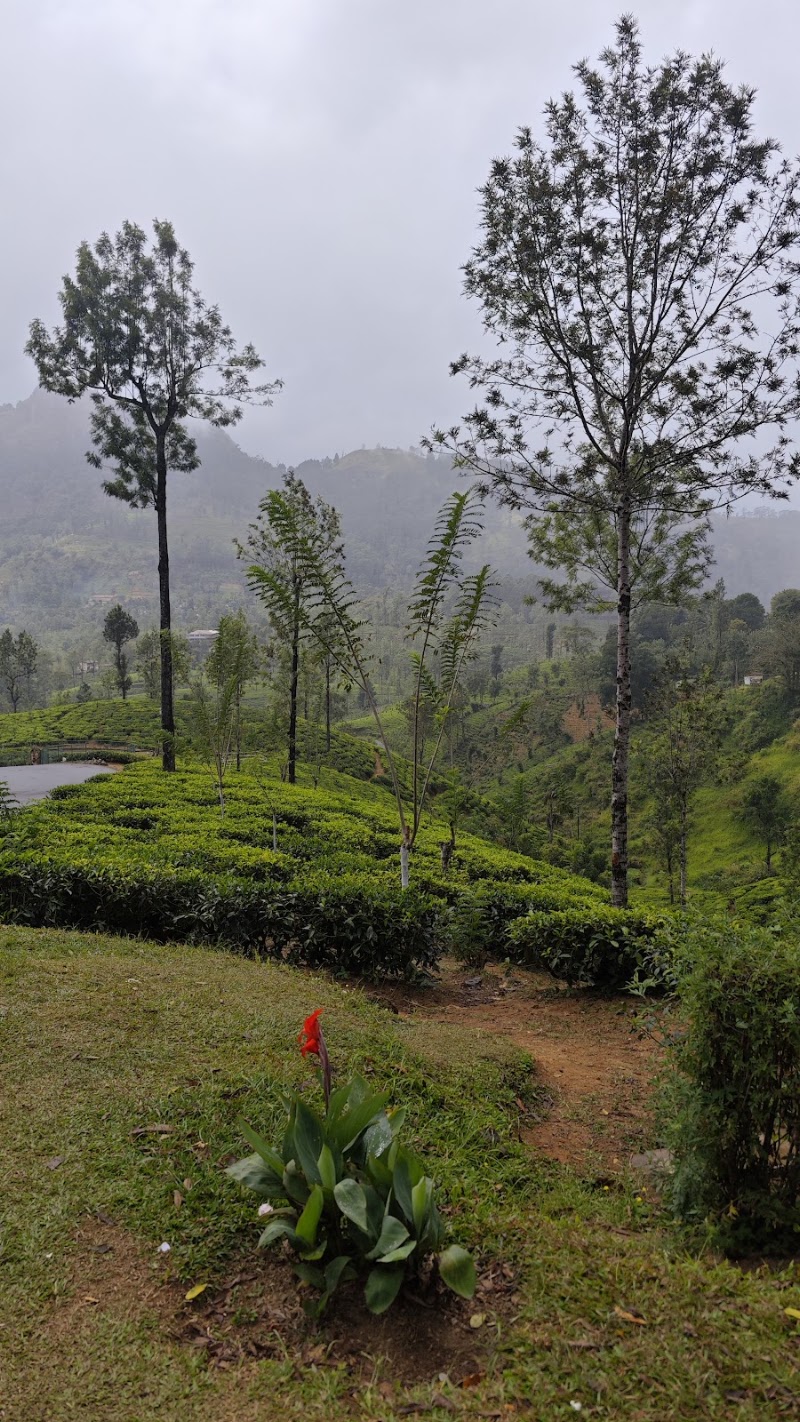 Center Ramboda Falls | මැද රම්බොඩ ඇල්ල - Center Ramboda Falls | මැද රම්බොඩ ඇල්ල, 3P32+RFR, Ramboda, Sri Lanka