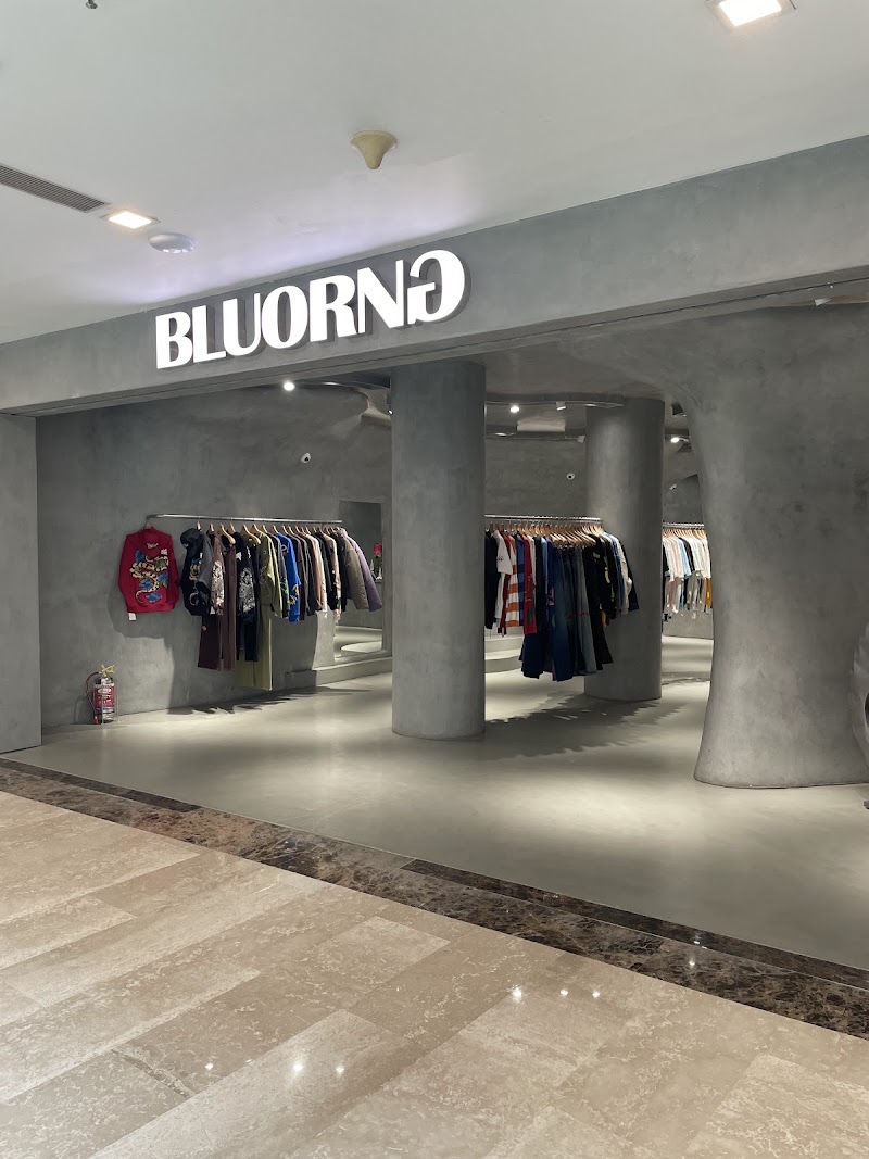 Bluorng - Bluorng F-149, Ambience Island, DLF Phase 3, Sector 24, Gurugram, Haryana 122010, India