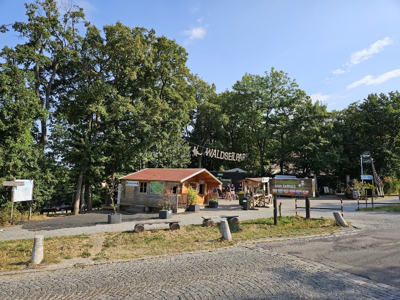Waldseilpark Kahlenberg - Waldseilpark Kahlenberg, Josefsdorf 47, 1190 Wien, Austria