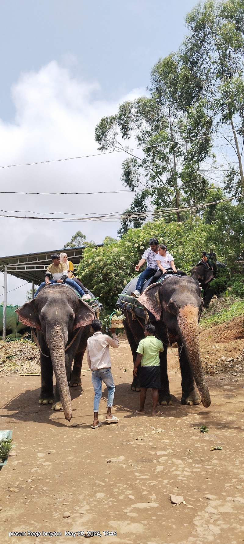 Munnar travel trip