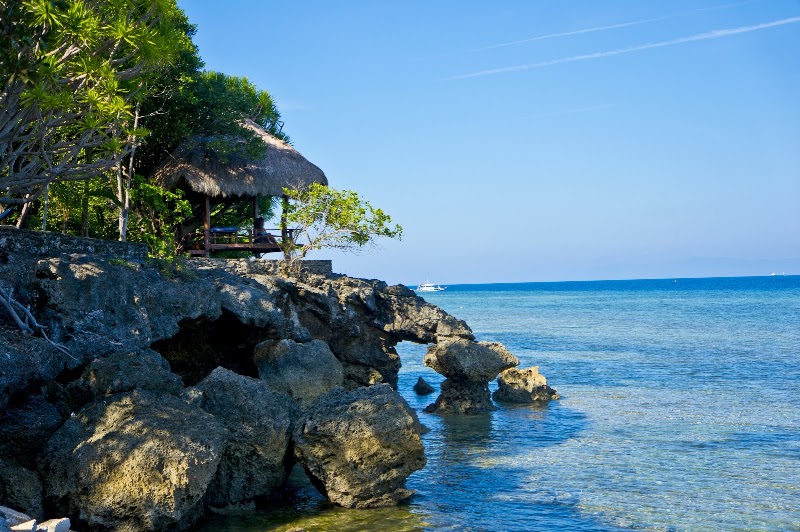 The Blue Orchid Resort - The Blue Orchid Resort Moalboal, Cebu, Philippines