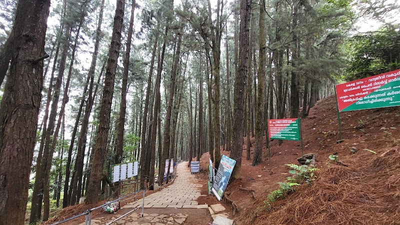 Pine Valley Vagamon - Pine Valley Vagamon MW4H+3J2, Vedikuzhi, Kolahalamedu, Keralam 685501, India