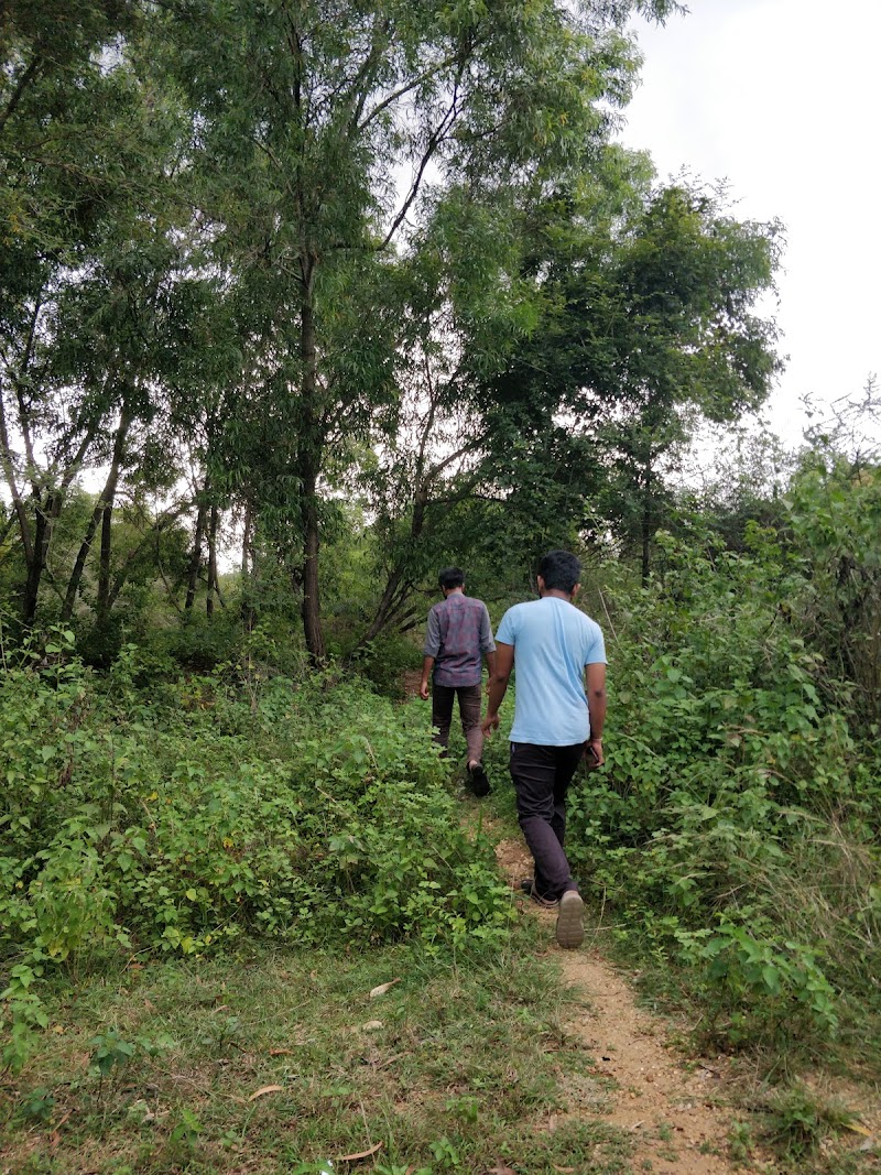 Babasaheb Dr. B R Ambedkar forest Path - Babasaheb Dr. B R Ambedkar forest Path WGQ4+HQ, Mutharayana Nagar, Gnana Bharathi, Bengaluru, Karnataka 560056, India
