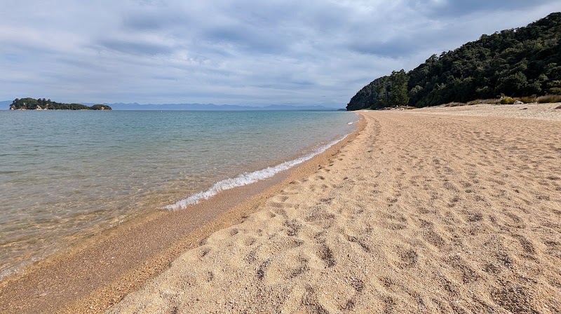 Apple Tree Bay Campsite - Apple Tree Bay Campsite, Abel Tasman Coast track, Tasman Region 7183, New Zealand