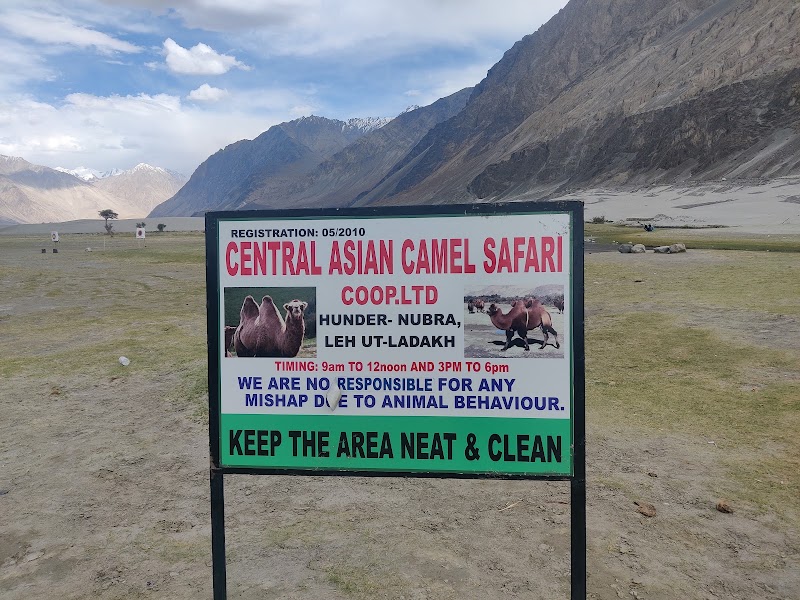 Nubra Valley Sand Dunes - Nubra Valley Sand Dunes JCFP+PX5, Nubra, Skampuk, 194401