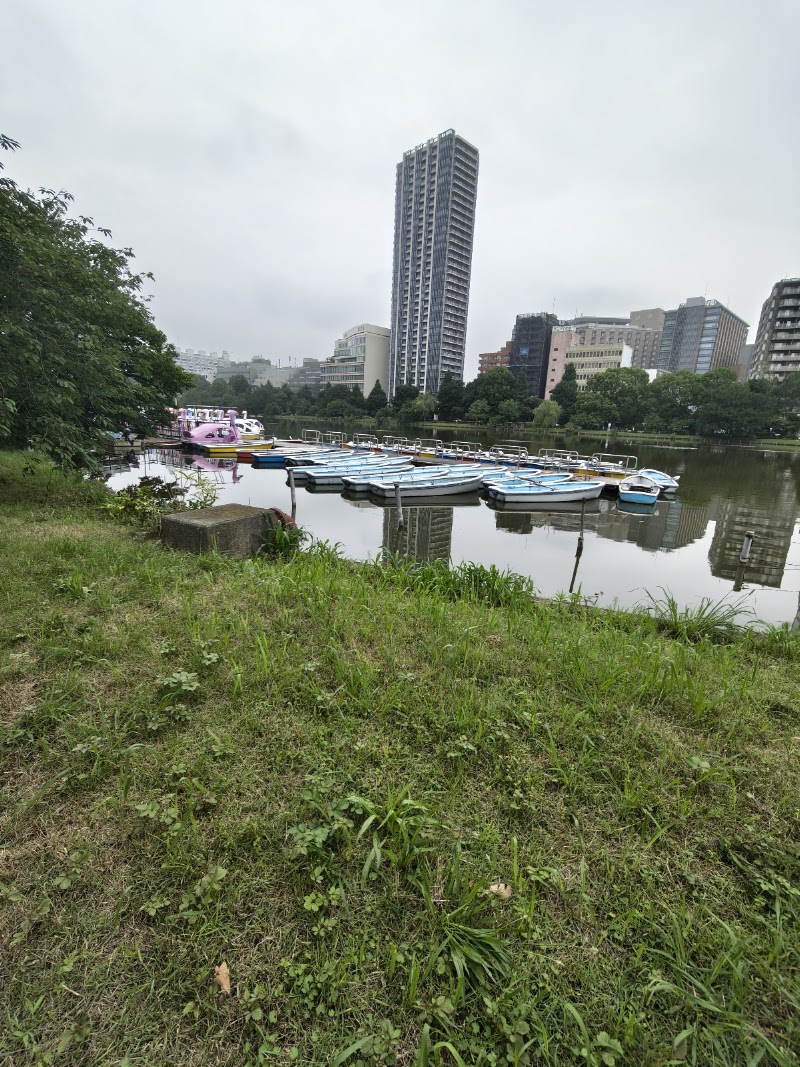 Boat Dock, Shinobazuno Pond