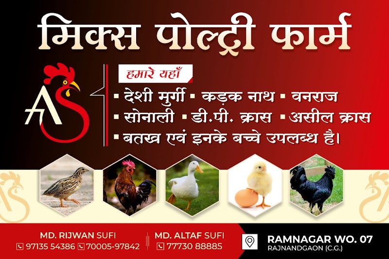 Mixed POULTRY FARM - Mixed POULTRY FARM, Ramnagar Ward no7, Shri Ram Colony, Motipur, Rajnandgaon, Chhattisgarh 491441, India