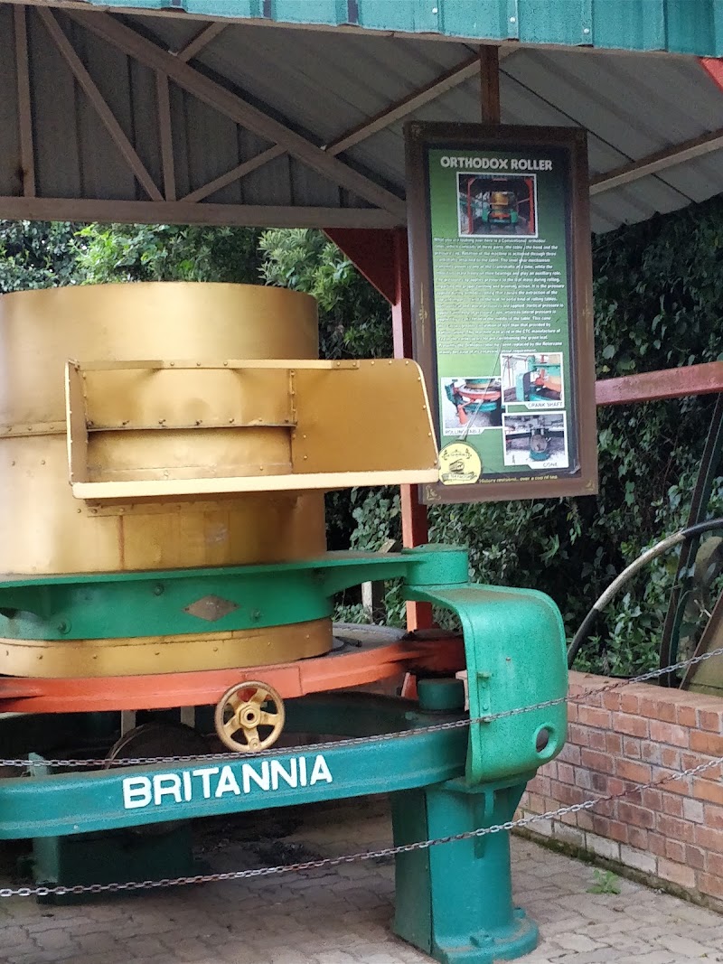 Singara Tea Factory Outlet - Singara Tea Factory Outlet 8RX7+FG2, Dolphin's Nose Rd, Alwarpet, Burliyar, Coonoor, Tamil Nadu 643101, India