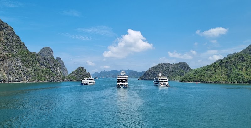 Paradise Grand Cruise - Paradise Grand Cruise No. 01 Tuan Chau Marina, Halong Bay, Ha Long, Quảng Ninh 200000, Vietnam