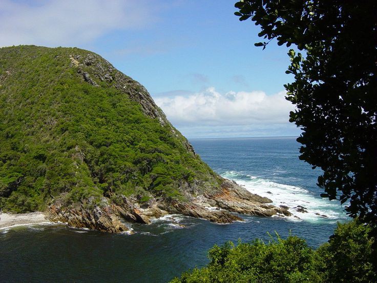 Tsitsikamma National Park - Tsitsikamma National Park, South Africa