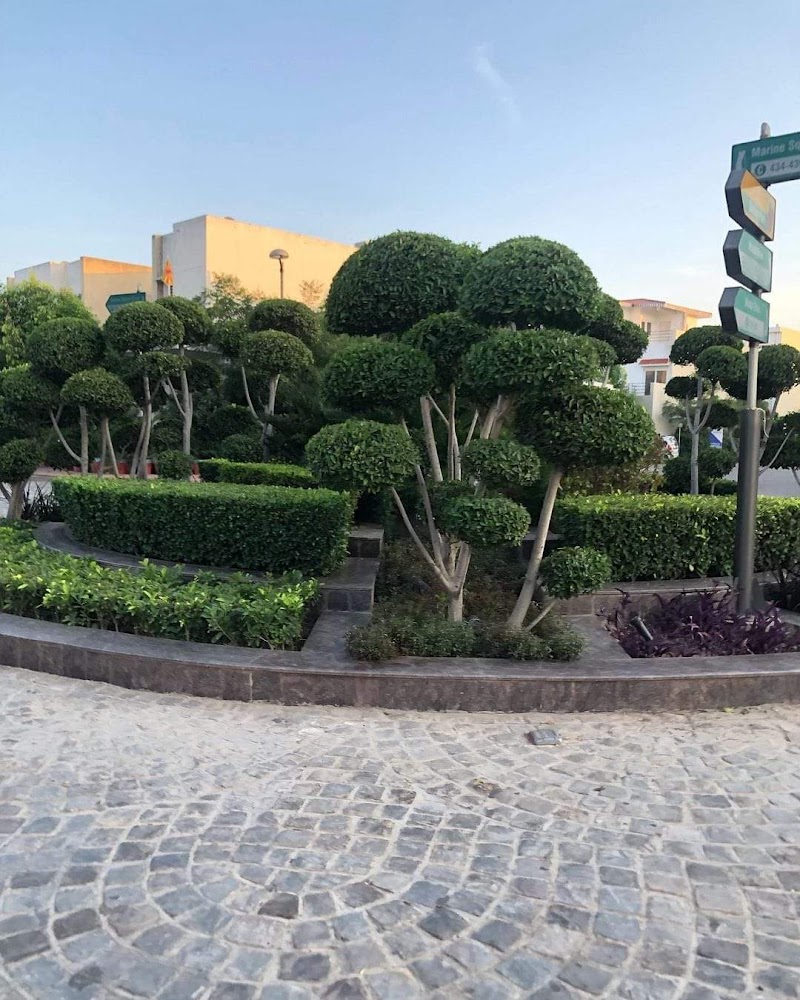 DLF Farms Chattarpur - DLF Farms Chattarpur, dimple 4 9C Gate, Gali Number 1, Block S, Rajpur Khurd Extension, Chhatarpur, New Delhi, Delhi 110074, India