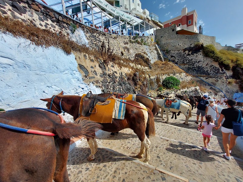 Oia - Oia Oia 847 02, Greece