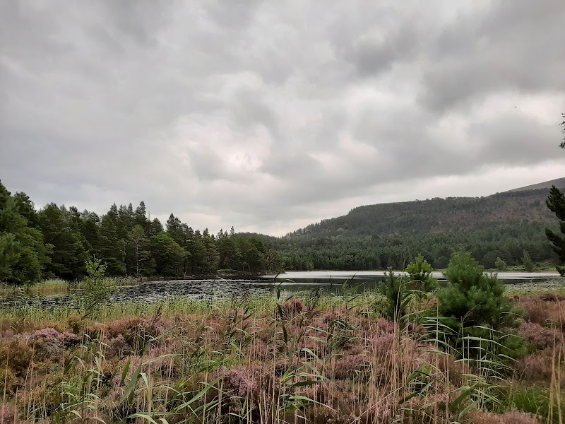 Rothiemurchus - Rothiemurchus Rothiemurchus Centre, Aviemore PH22 1QH, UK