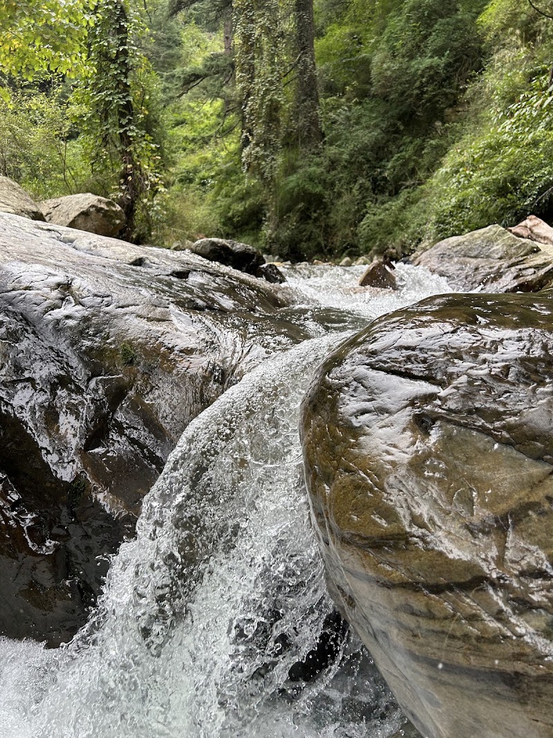Kulhi Katandi (Jibhi) - Kulhi Katandi (Jibhi) H9M5+VC, Rashala, Himachal Pradesh 175123, India