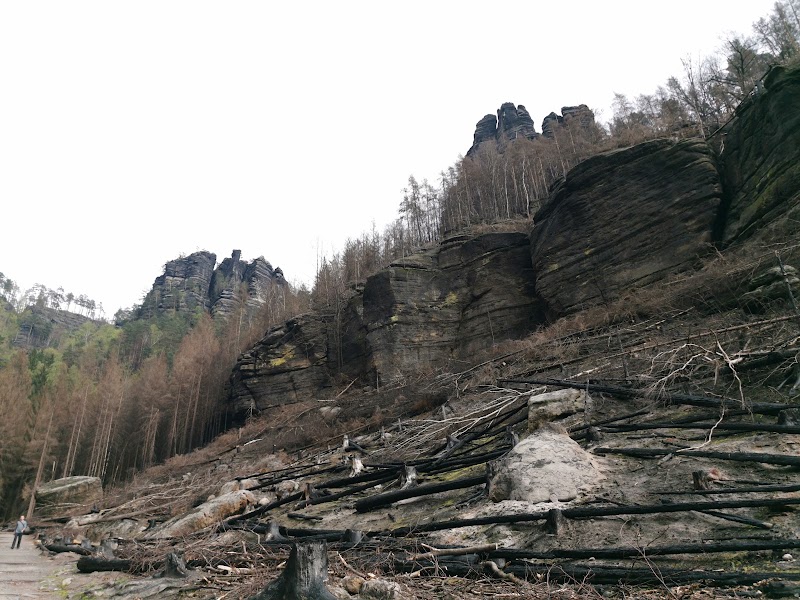 Bushaltestelle - Bushaltestelle 25861, 407 17 Hřensko, Czechia
