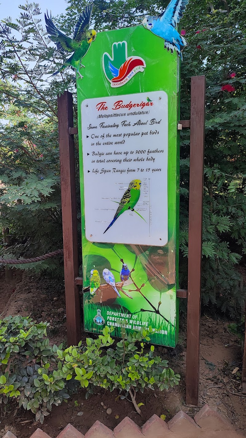 Chandigarh Bird Park - Chandigarh Bird Park Infront of the Lake Sports Club entry, near Rock Garden of Chandigarh, Rock Garden of Chandigarh, Sector 1, Chandigarh, 160001, India