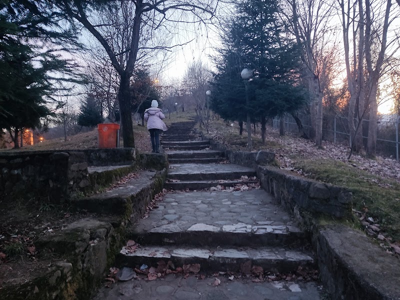 Siyahdaran Forest Park - Siyahdaran Forest Park, Gilan Province, سیادران, خیابان ساحل دریای هشتپر، پارک جنگلی سیاهداران، Iran
