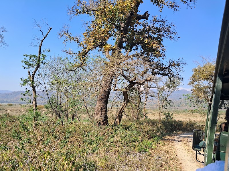 Dhikala Canter Safari - Dhikala Canter Safari G3GX+GFG Jim Corbett National Park, Dhangari, Bijrani Range, Dogadda Range, Uttarakhand 244715, India