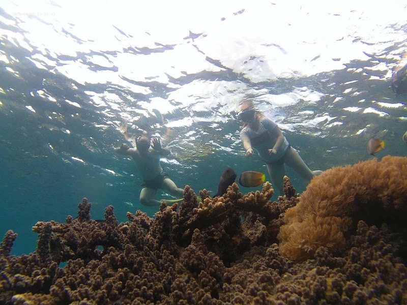 BaliTravel - BaliTravel, Ped, Nusa Penida, Klungkung Regency, Bali 80771, Indonesia