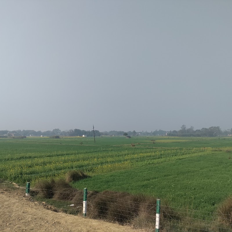 Purvanchal Expressway - Purvanchal Expressway, Purvanchal Expy, Uttar Pradesh, India