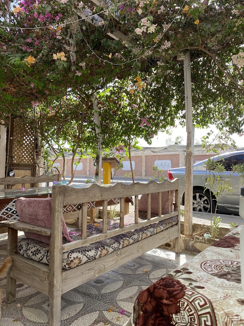 Chef Ragab - Chef Ragab, سانت كاترين، محافظة جنوب سيناء 8772440, Egypt