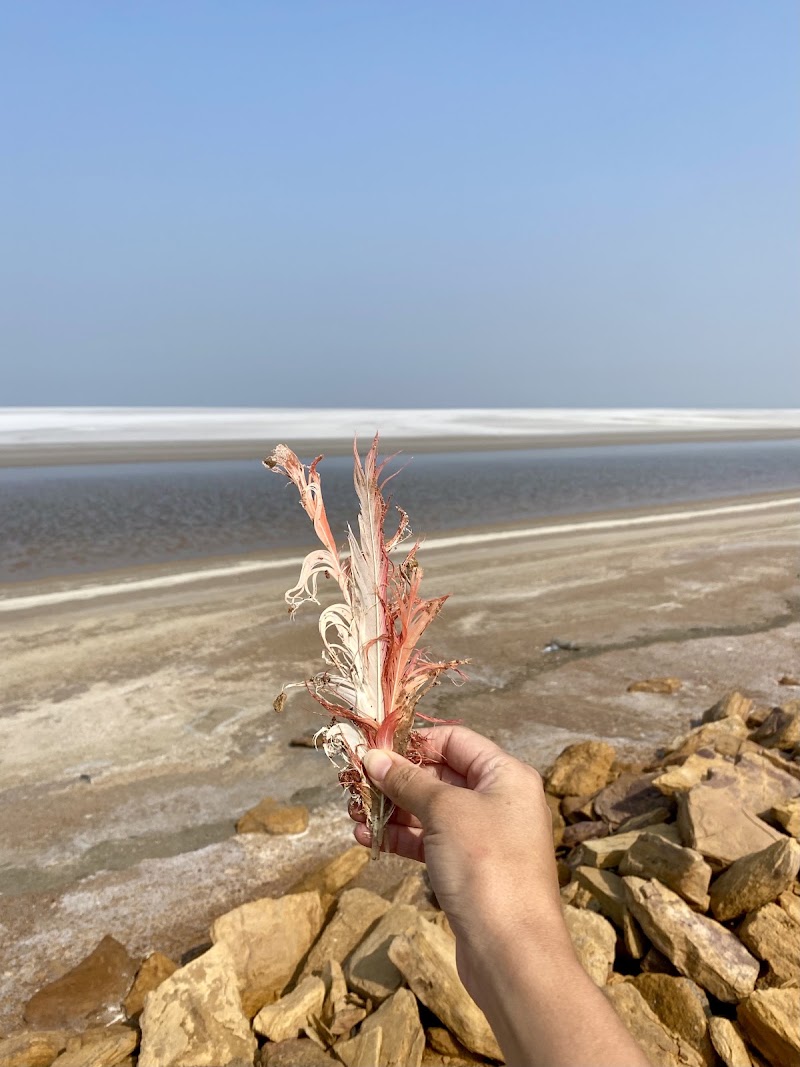 Kutch Adventures India (a.k.a. Desert Adventures Kutch) - Kutch Adventures India (a.k.a. Desert Adventures Kutch), Rotary Colony, Ravalwadi Relocation Site, D 109, near Engineering College Road, Rotary Nagar, Bhuj, Gujarat 370001, India