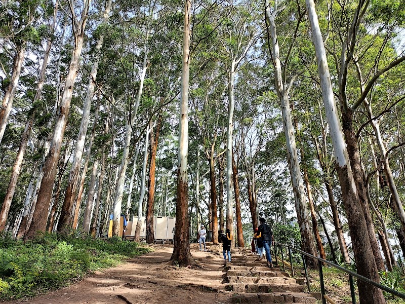 Needle Rock View Point - Needle Rock View Point Ooty Main Road, FGXC+M8X, NH67, Naduvattam, Tamil Nadu 643211, India