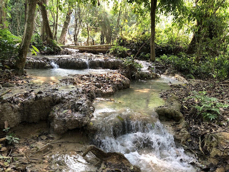 Tat Kuang Si Bear Rescue Centre, Free the Bears - Tat Kuang Si Bear Rescue Centre, Free the Bears, ຫຼວງພຣະບາງ, Lào, Ban Long, Laos