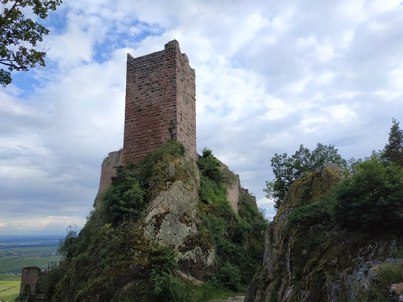 Château de Saint-Ulrich - Château de Saint-Ulrich, 68150 Ribeauvillé, France