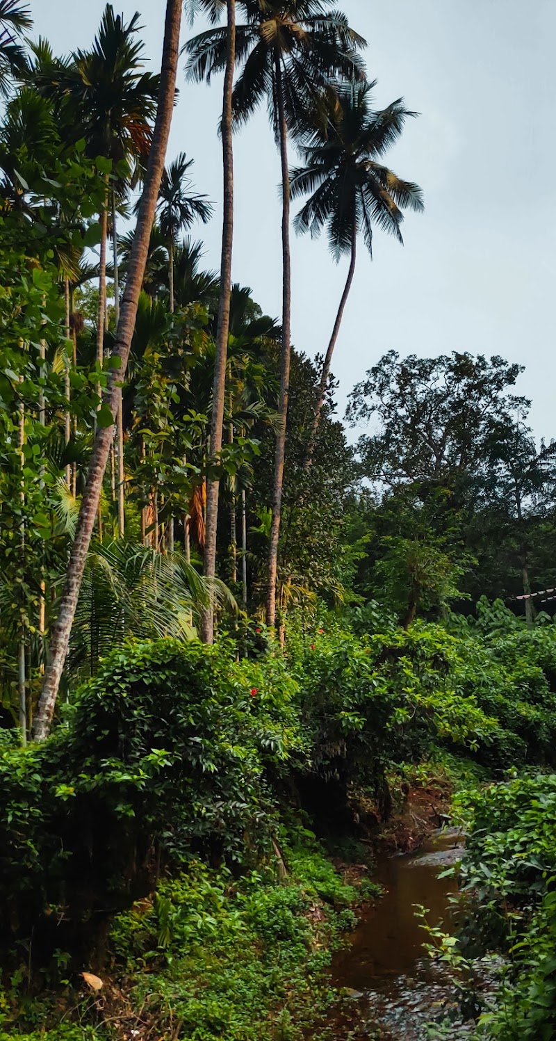 Hunsur - Hunsur, Karnataka, India