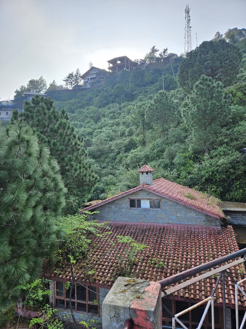 The Woods Kasauli - The Woods Kasauli Old, Parwanoo Kasauli Rd, Mashobra, Tehsil, Kasauli, Himachal Pradesh 173204, India