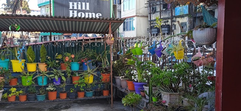 Hill Home - Hill Home Hill Cart Rd, opposite GJMS, Limbugaon, Darjeeling, West Bengal 734101, India