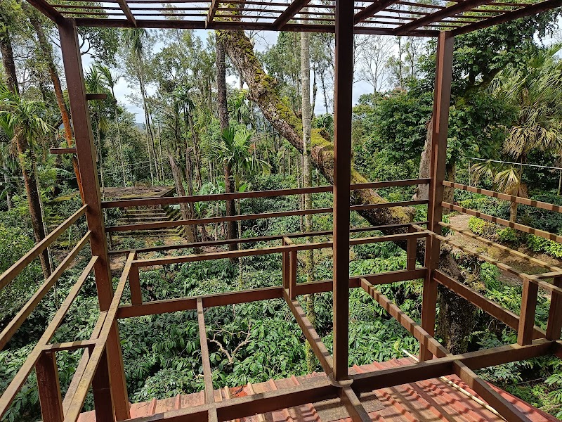Ginger Estate - Ginger Estate Kadagadal Village & Post, Via Chettalli, CQ4F+4X7, Chettalli Rd, Kadagadal, Karnataka 571248, India