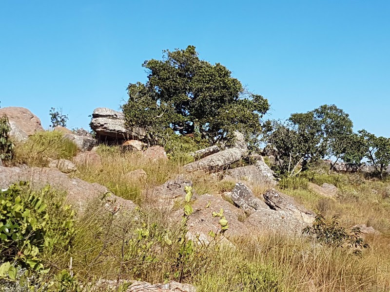 Lowveld View - Lowveld View, R532, South Africa
